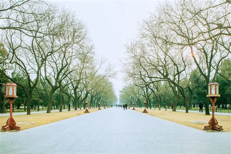 祖先牌位需要每天燒香嗎